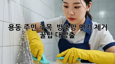 용동 주민 주목! ✨ 방충망 먼지 제거, 꿀팁 대방출 🍯