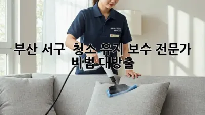 부산 서구 🏡✨ 청소 유지 보수, 전문가 비법 대방출!